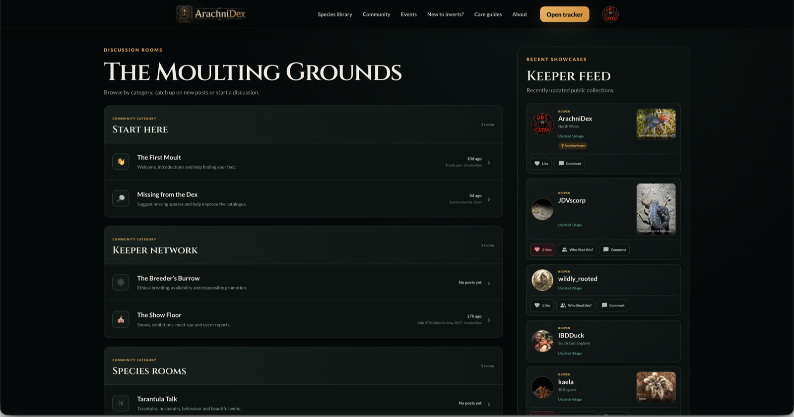 ArachniDex Community discussion rooms and keeper showcase feed
