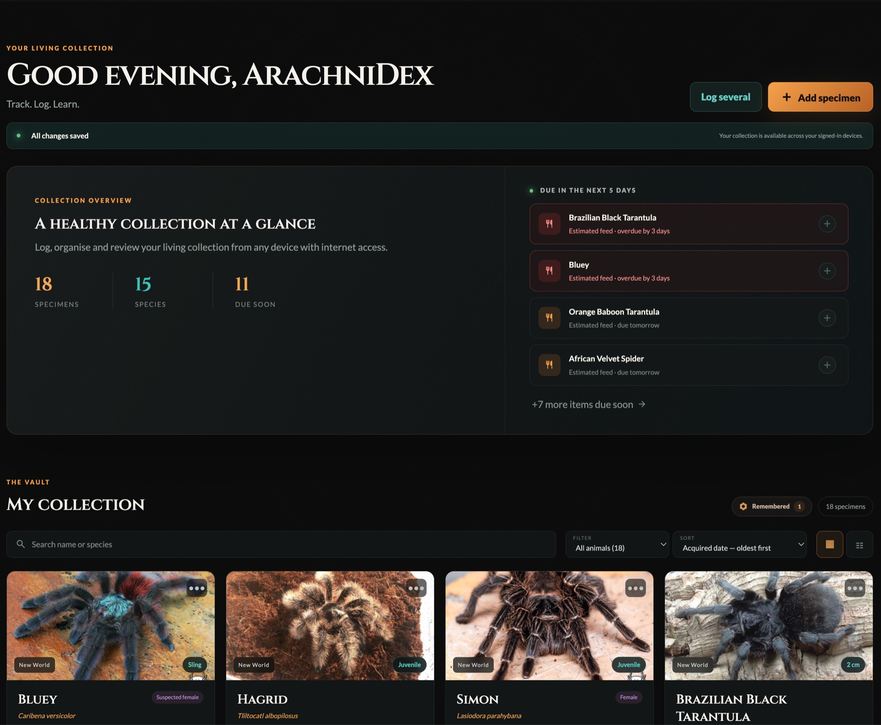 ArachniDex dashboard showing overdue and upcoming care reminders